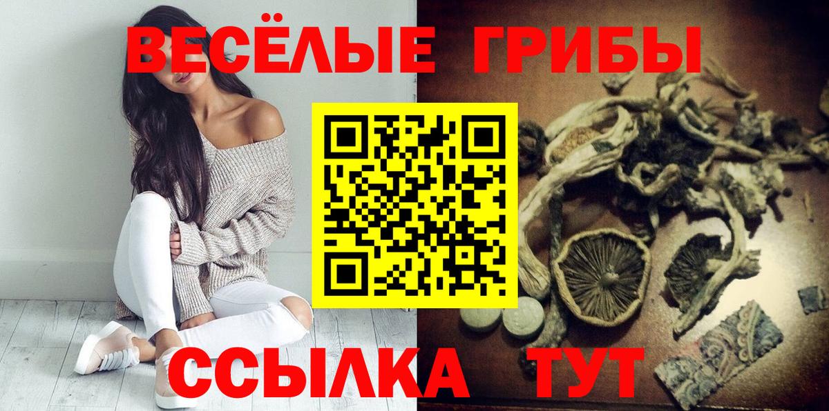 Корсаков  Галлюциногенные грибы GOLDEN TEACHER  Вход с VPN 